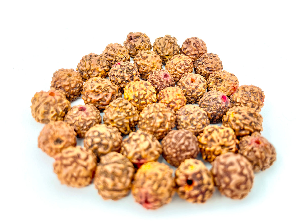 Rudraksha Seed Guru Beads