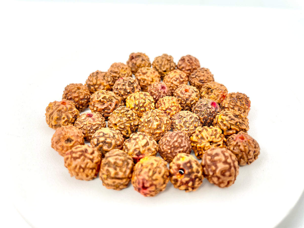 Rudraksha Seed Guru Beads
