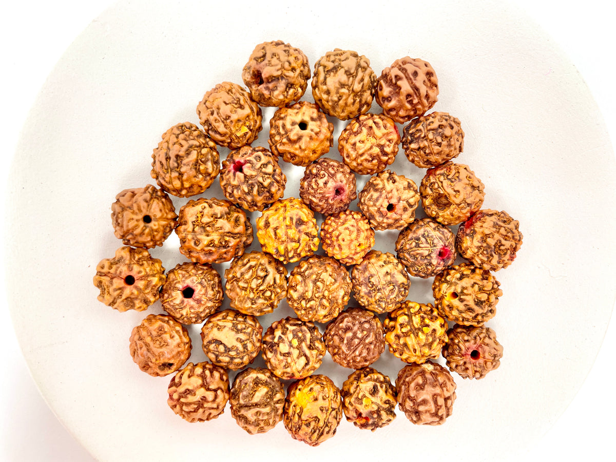 Rudraksha Seed Guru Beads