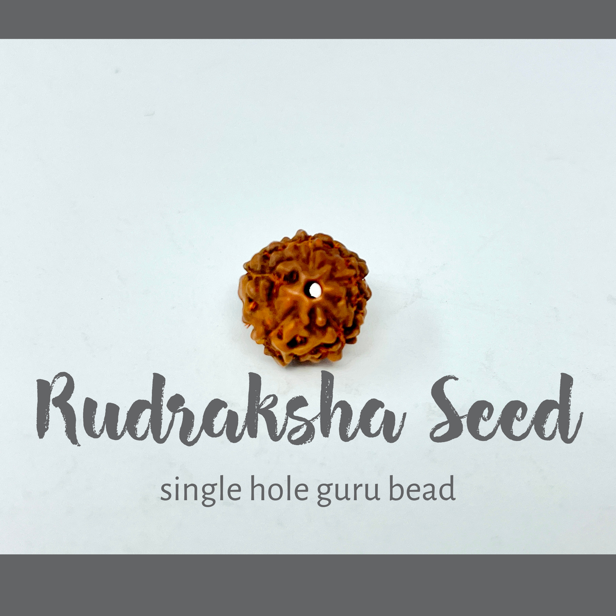 Rudraksha Seed Guru Beads